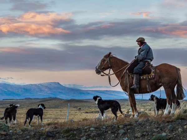 1st place: A - Barbara Mierau-Klein - Lone Gaucho
