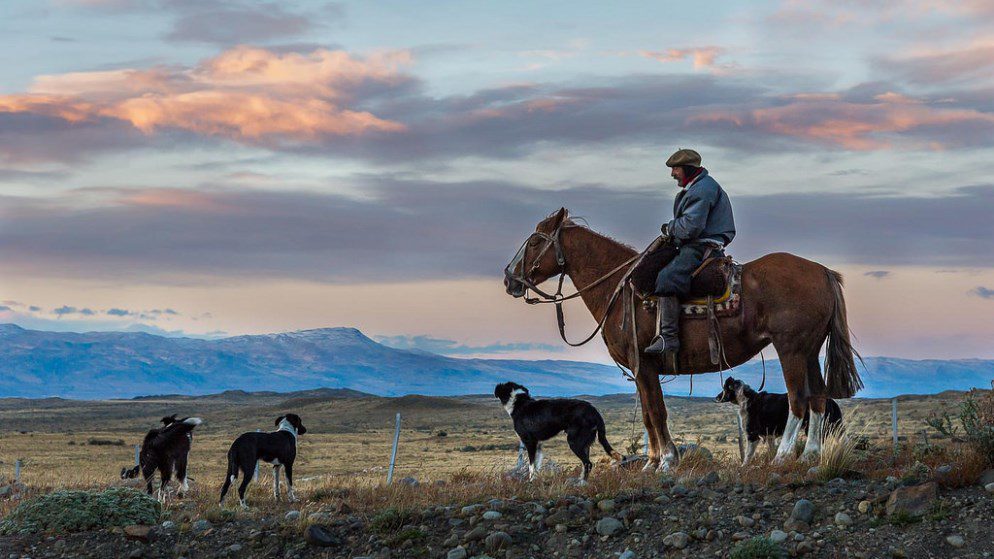 1st place: A - Barbara Mierau-Klein - Lone Gaucho