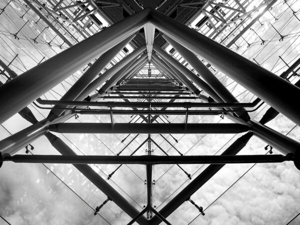 Fred Cochard-Rose Center Soaring Corner