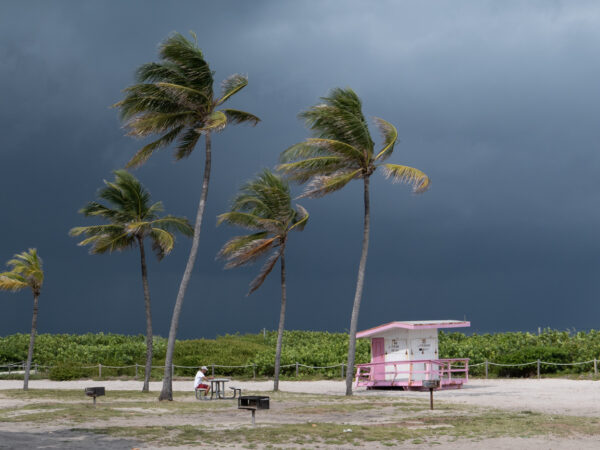 Gathering Storm, by Simon Bradbury