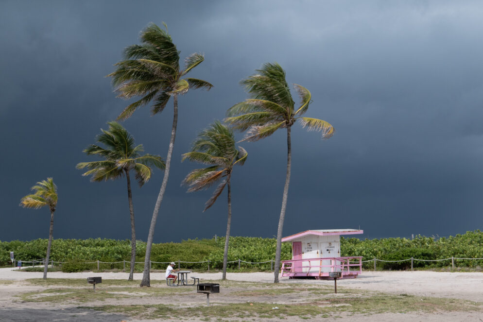 Gathering Storm, by Simon Bradbury